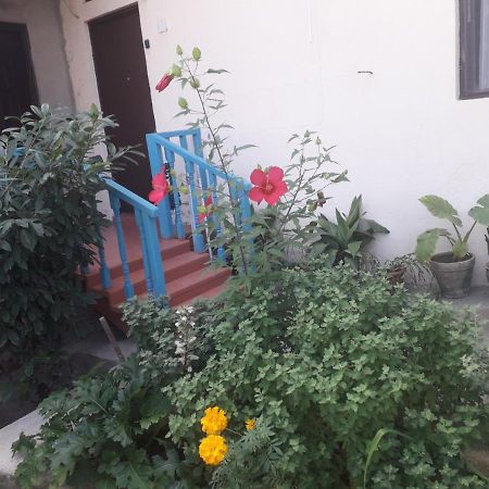 Guesthouse Zeinabi Τυφλίδα Εξωτερικό φωτογραφία