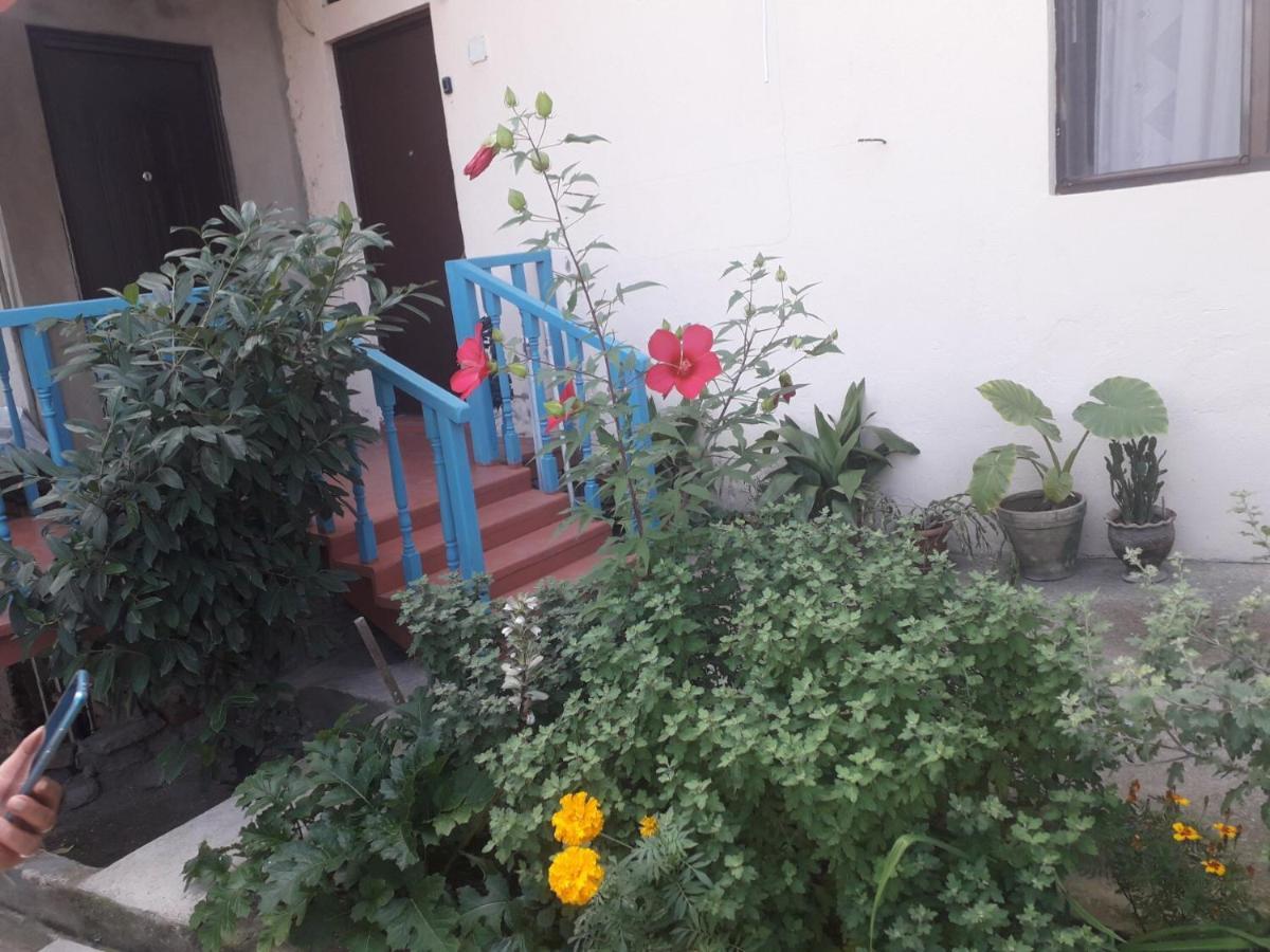Guesthouse Zeinabi Τυφλίδα Εξωτερικό φωτογραφία